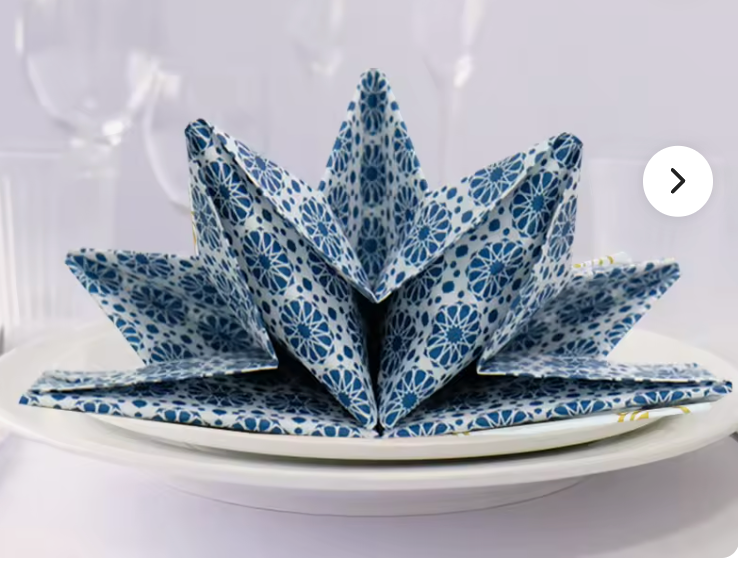 3D Pre-folded Napkins Set of 12
