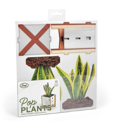 Pop Plant Desk Caddy - White - ModLoungePaperCompany