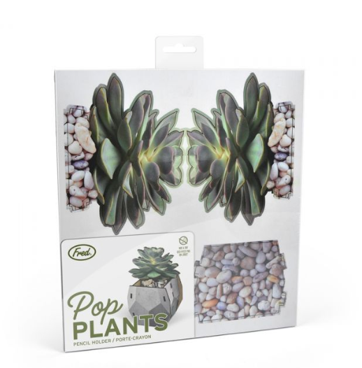 Pop Plant Desk Caddy - Gray - ModLoungePaperCompany