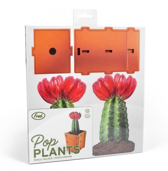 Pop Plant Desk Caddy - Orange - ModLoungePaperCompany